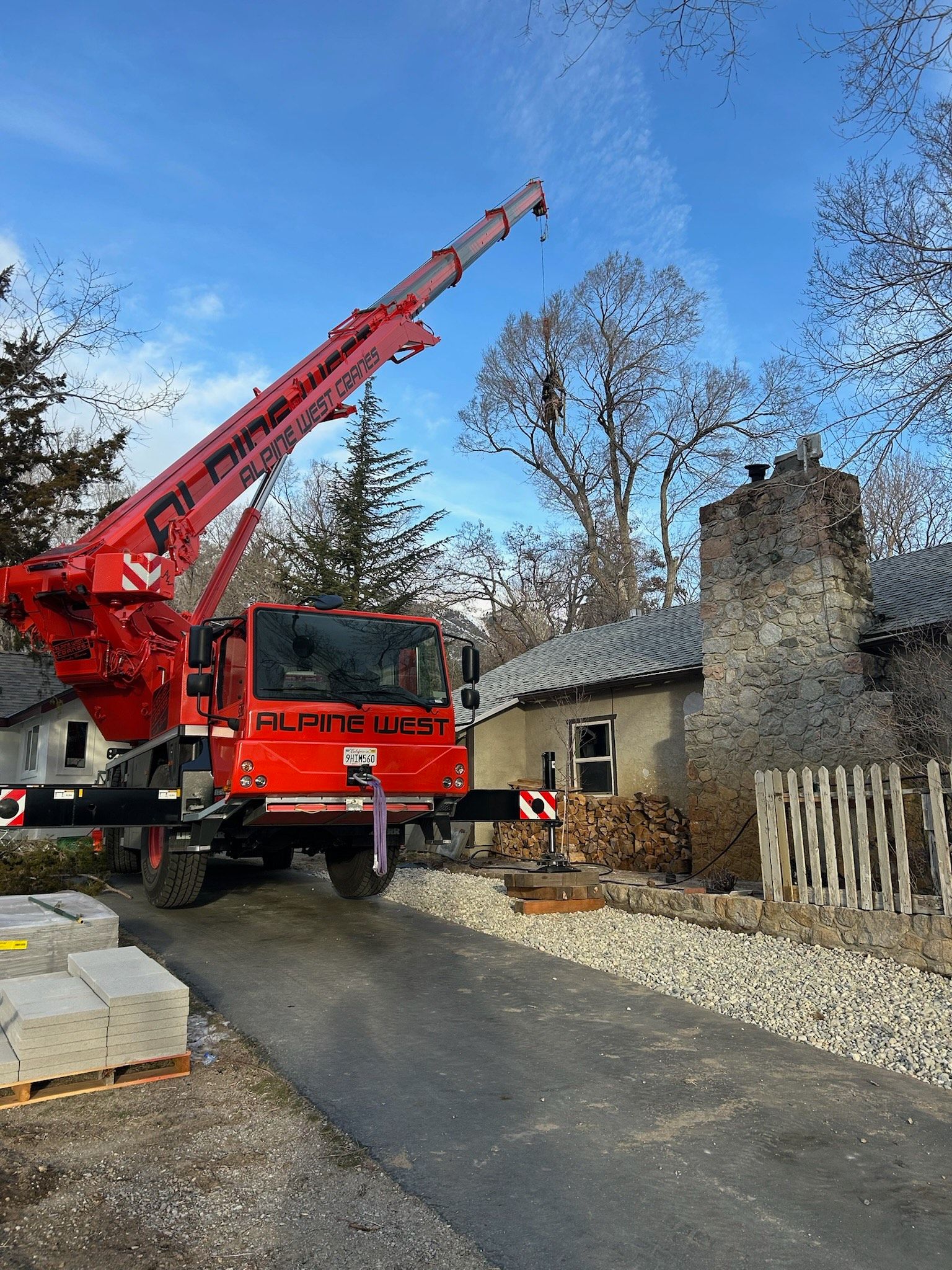 Precision Arbor Care Image