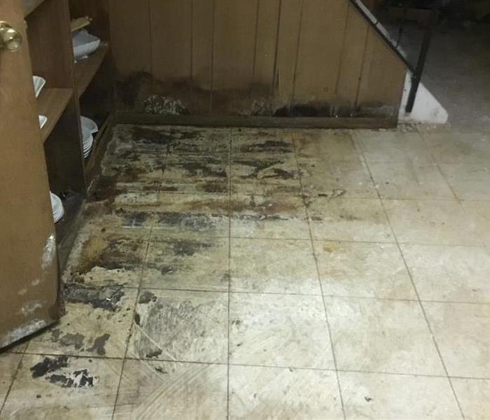 In this picture you can see the amount of mold that grew on the floor of this basement.  SERVPRO of Hockessin was able to help out this customer and mitigate the mold properly.