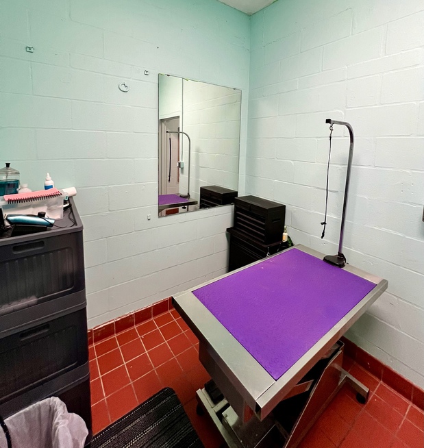 Images VCA Noah’s Place Animal Medical Center
