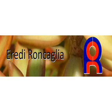 Eredi Roncaglia Francesco - Florist - Modena - 059 829000 Italy | ShowMeLocal.com