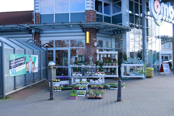 Bilder Blumen Interfleur Floristik & Wohnaccessoires