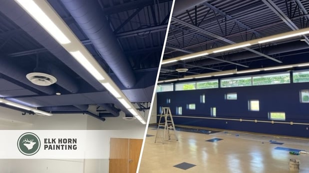 Images Elk Horn Painting - Denver