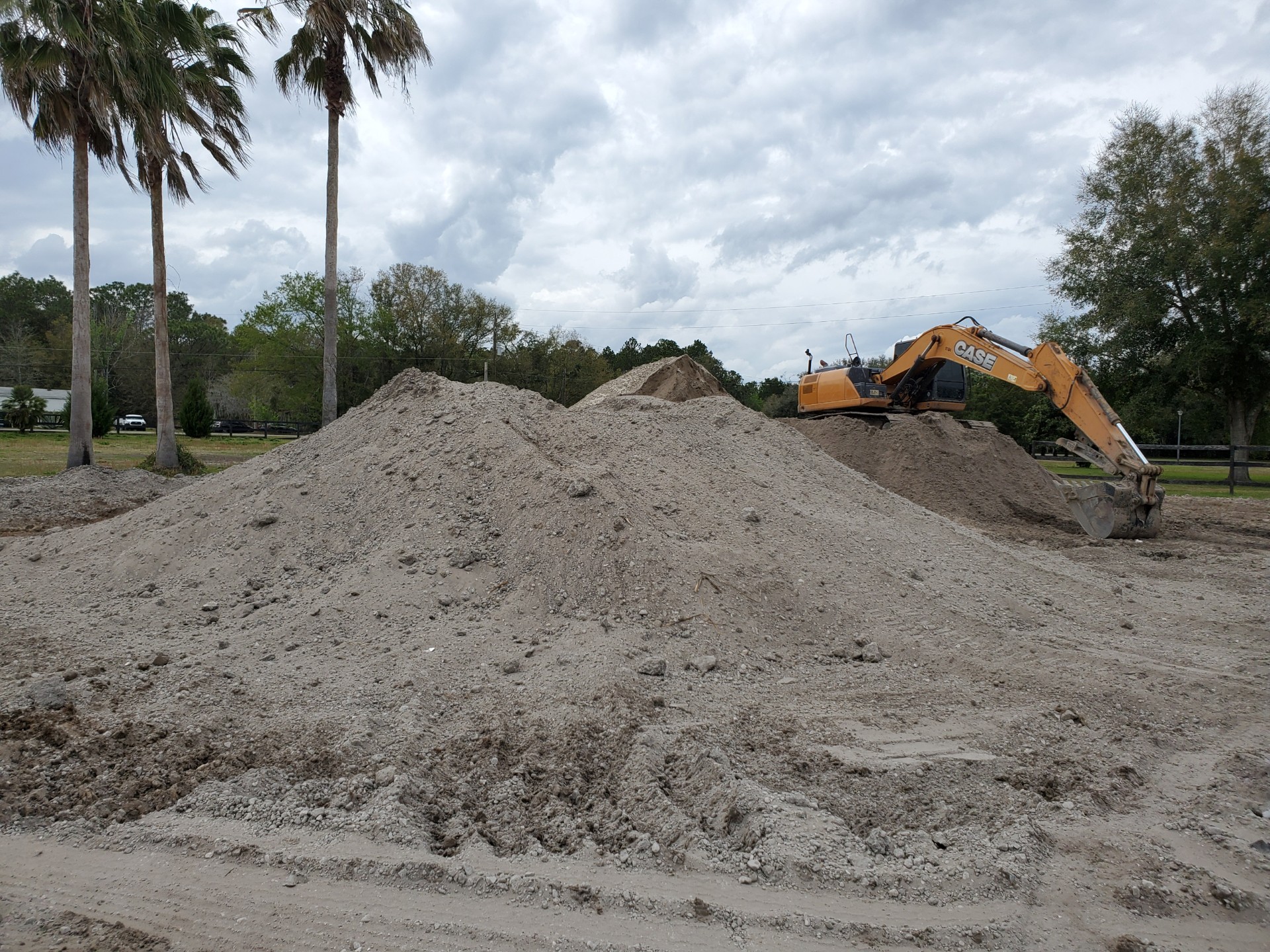 Big Cat Excavating Photo