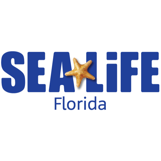 LEGOLAND® Florida Water Park