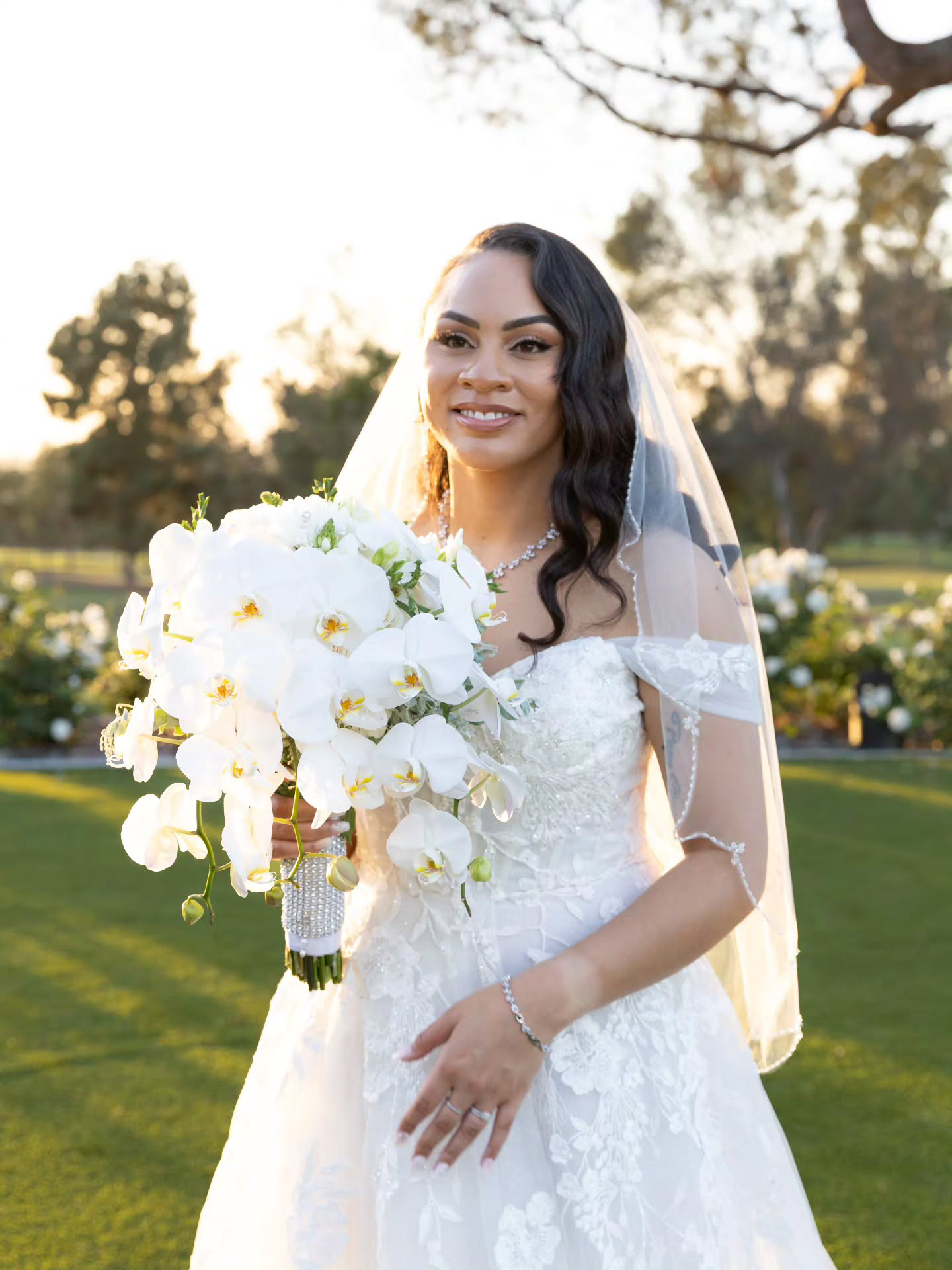 Shutterbug VideoPix Image