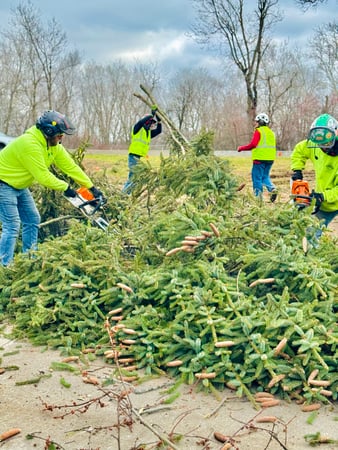Images Snyder's Tree Service