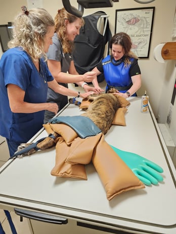 Images VCA Old Trail Animal Hospital