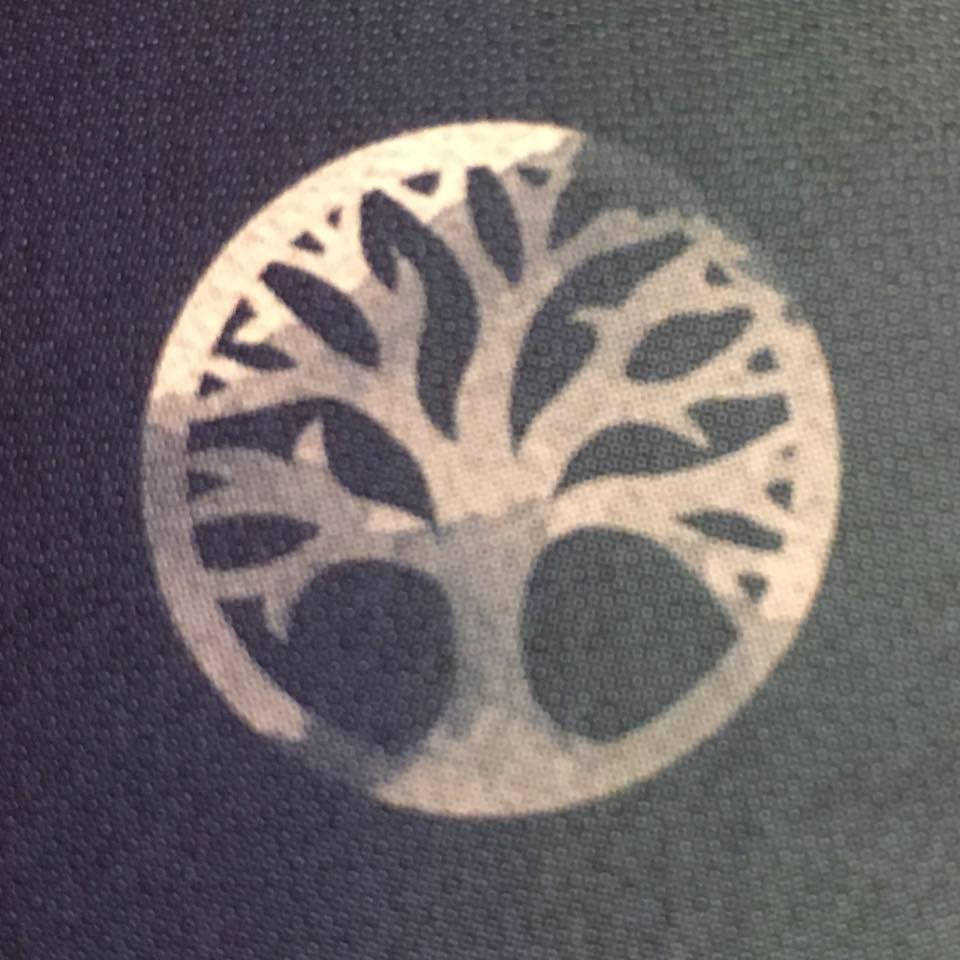 EnerQi By Charlotte Logo
