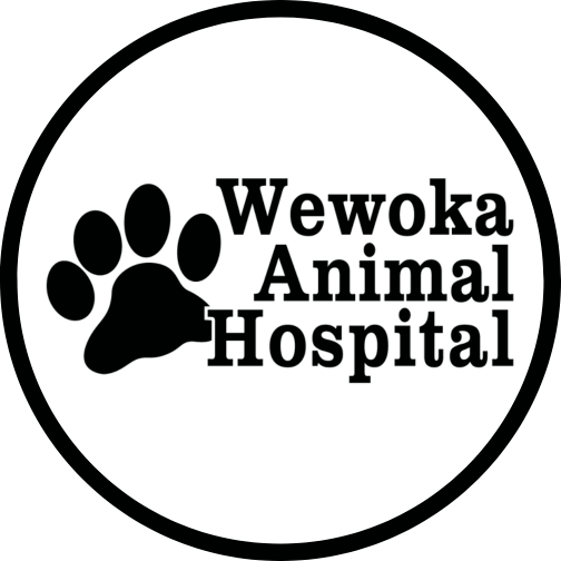 Wewoka Animal Hospital Logo