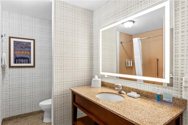 Images Hampton Inn - DeKalb (Near the University)