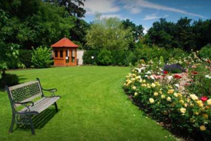 Images Azienda Florovivaistica Giovanelli