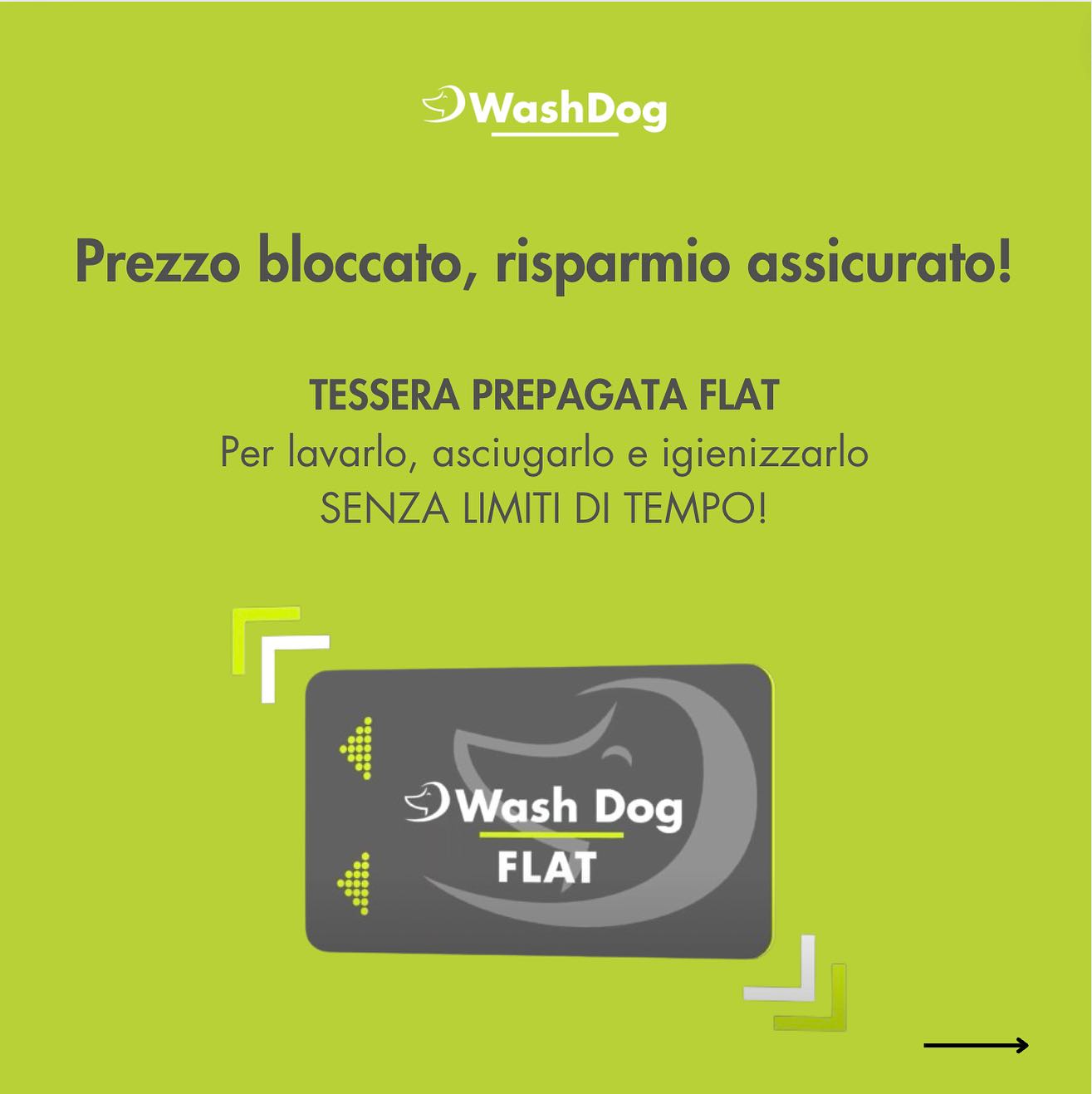 Bilder WashDog Bellinzona