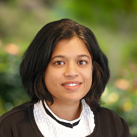 Veena A. Jayaram-Chou