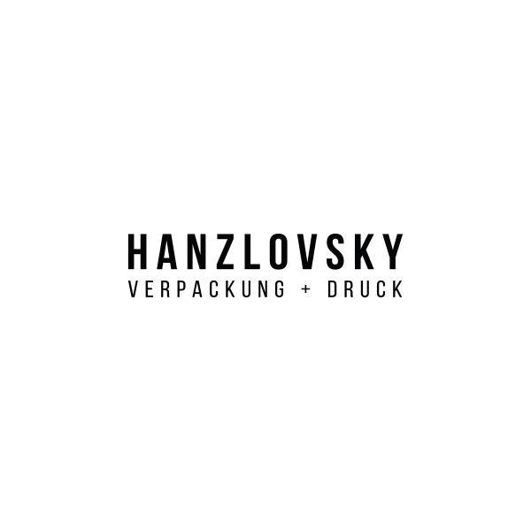 E. Hanzlovsky Steyr Druck und Kartonagen Ges.m.b.H. Logo