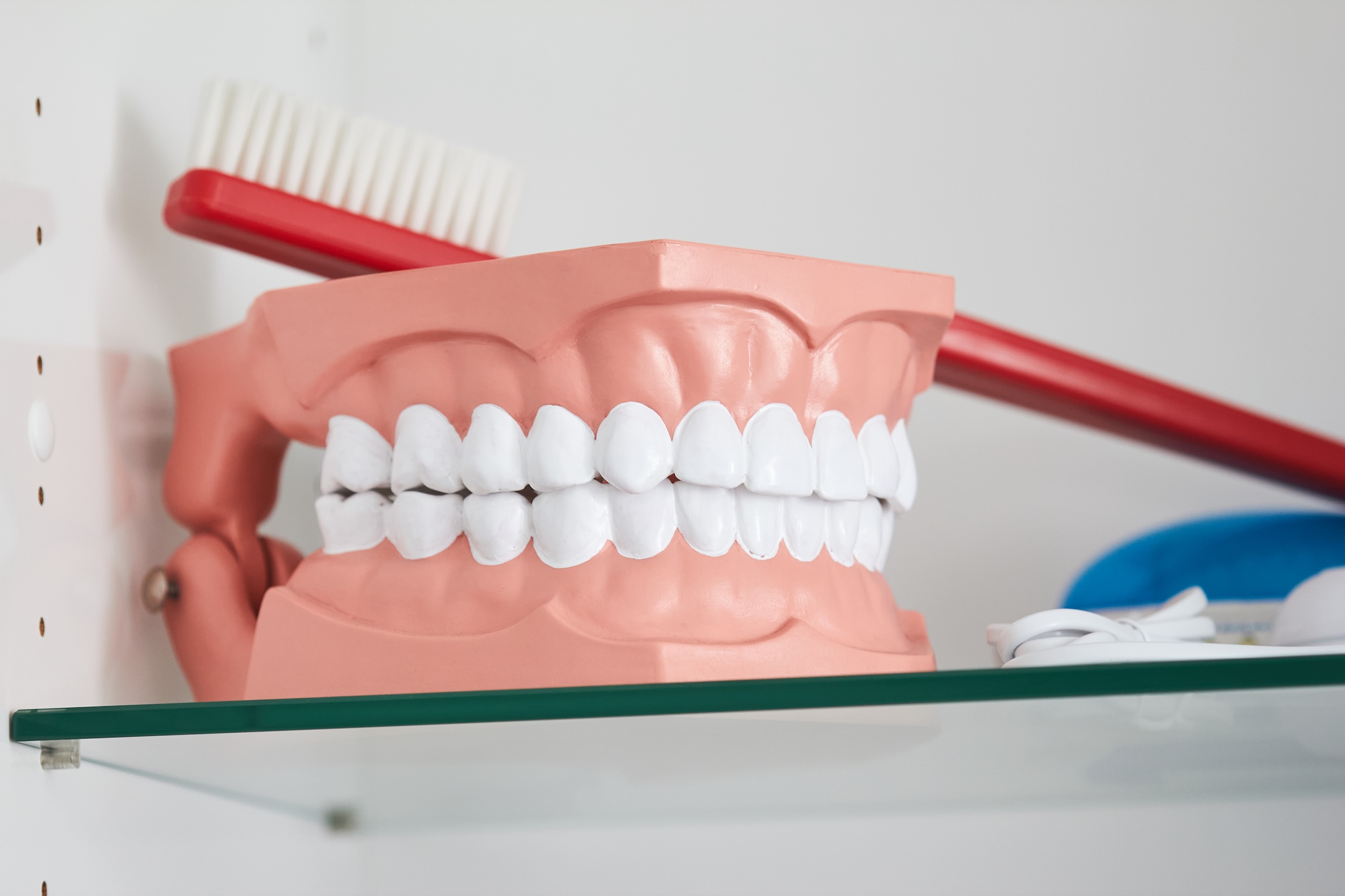 Bild 3 Zahnarztpraxis Hanel | Zahnarzt in Langen in Langen