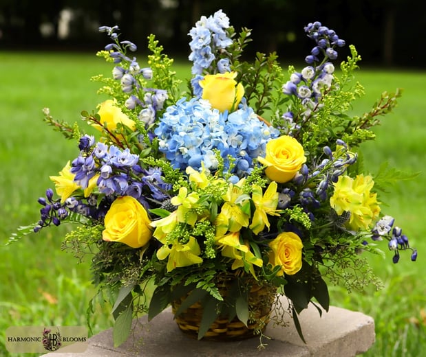 Images Harmonic Blooms