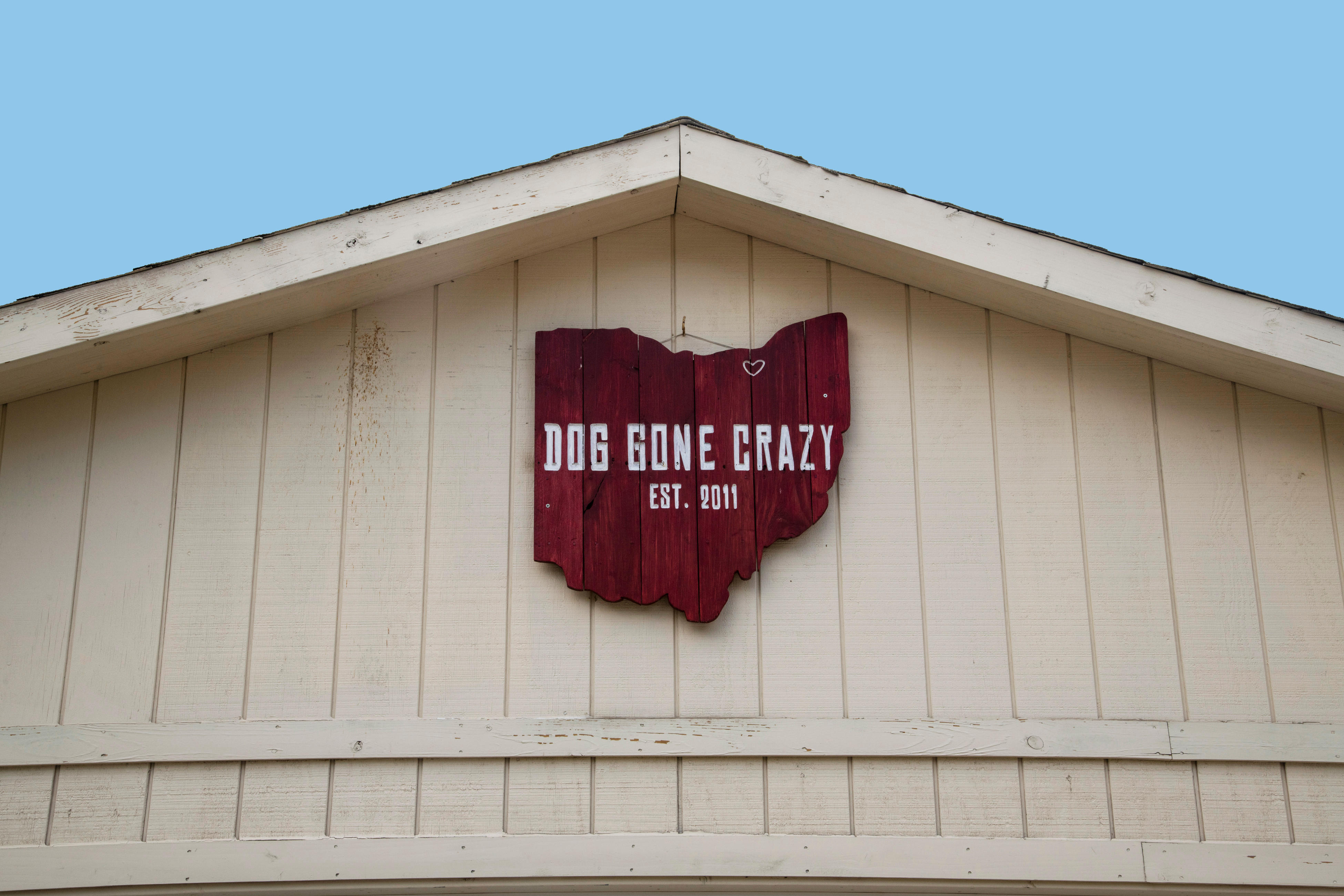 Dog Gone Crazy Kennels Photo