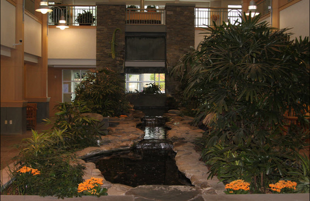 Images Lifestream Pharmacy