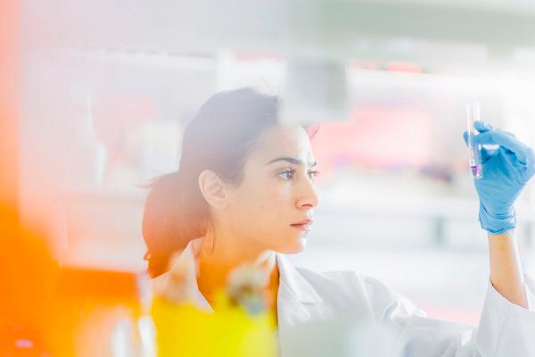 Nordmann, Rassmann GmbH, Kajen 2 in Hamburg