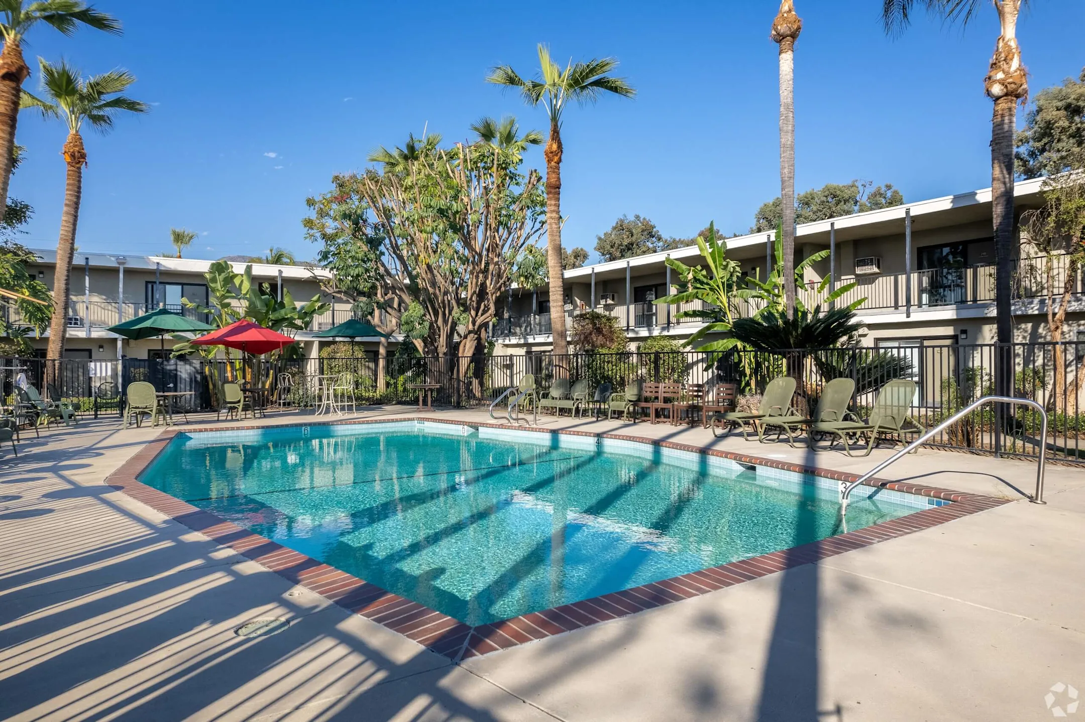 Sparkling Swimming Pool