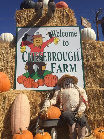 Images Chesebrough Farm