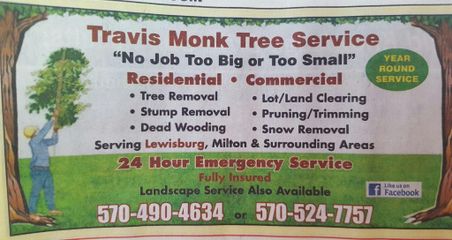 Images Travis Monk Tree Service