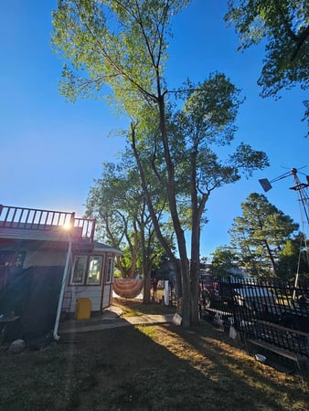 Images H & S Tree Care