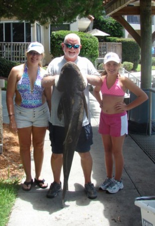 Images MisStress Charters