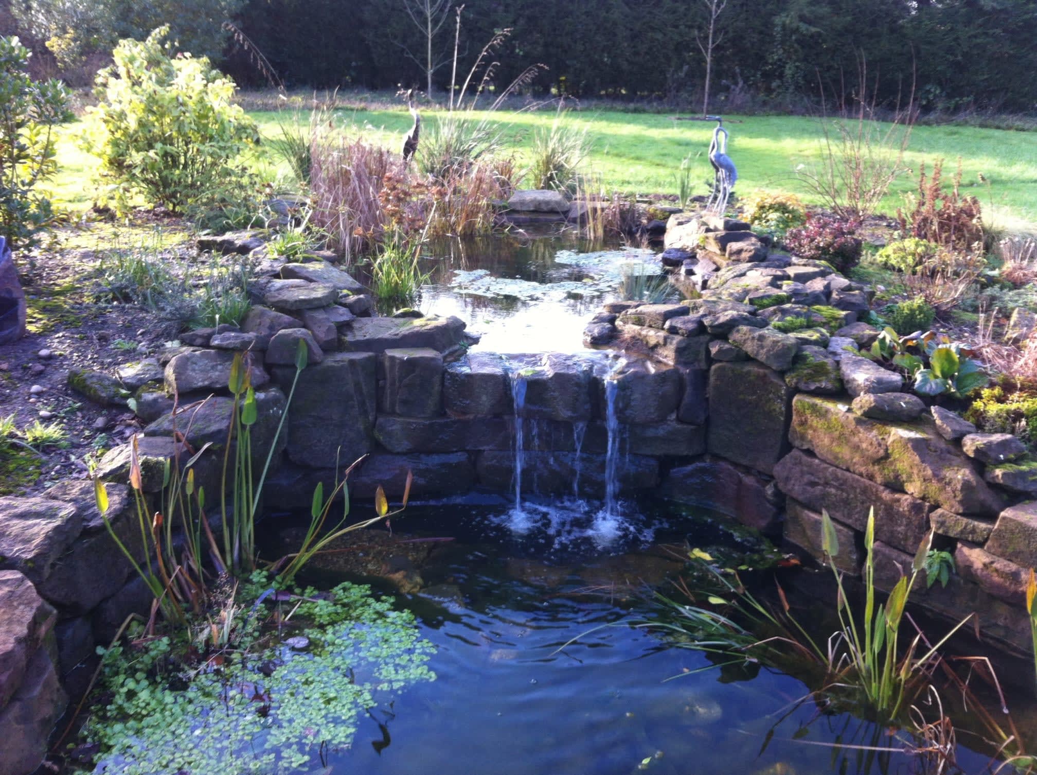 The Garden Landscape Consultancy Cheltenham 07971 288389