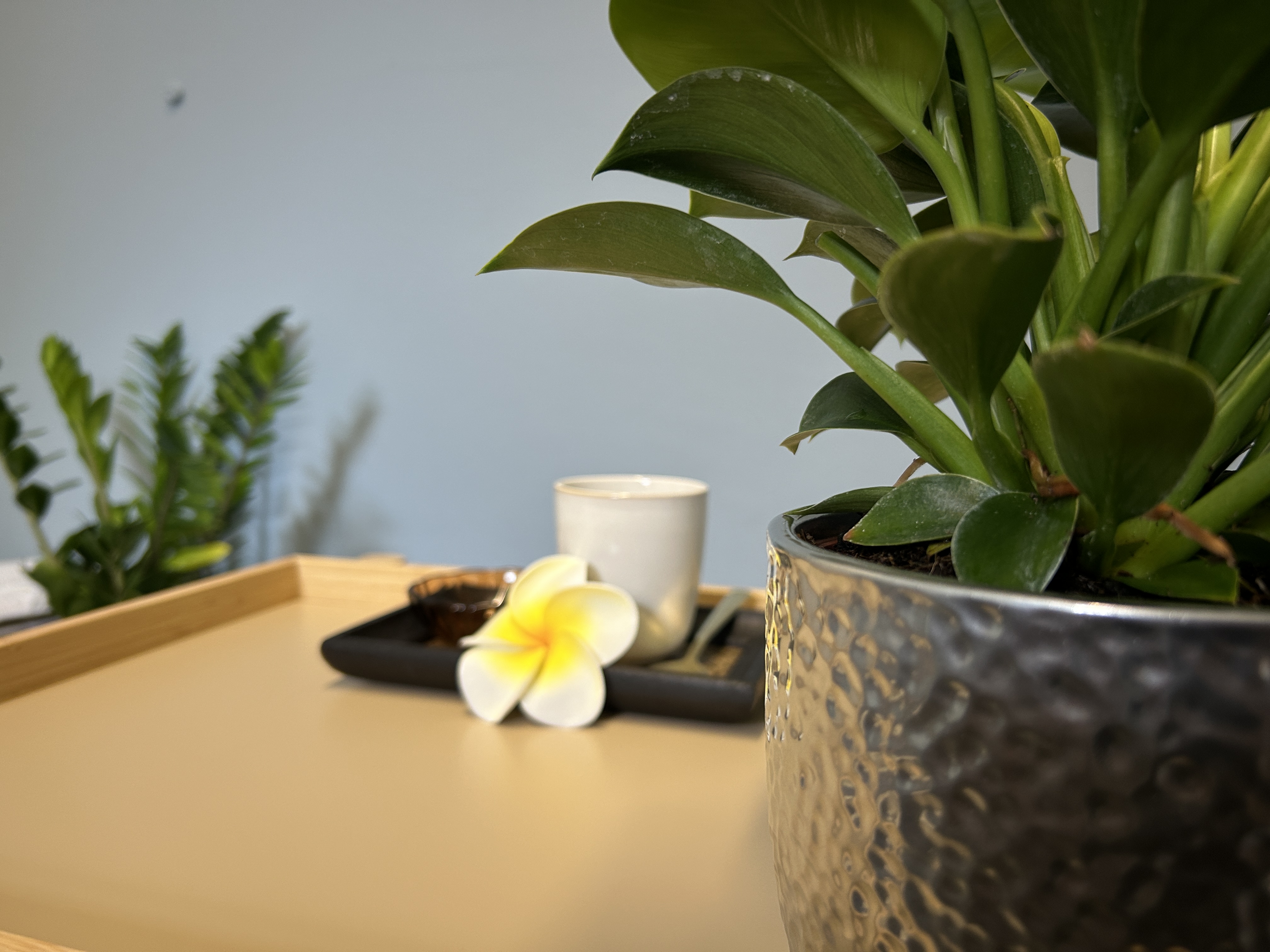 Bilder PATRA Massage Fitness-Wellness-Gesundheit