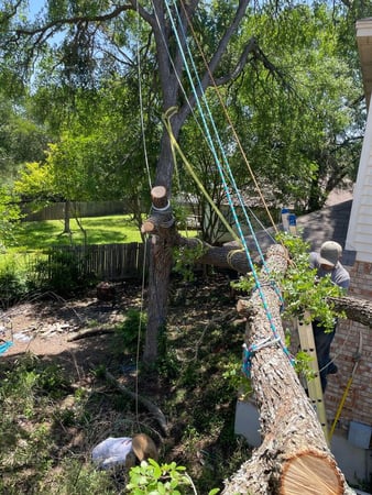 Images Doc's Tree Service