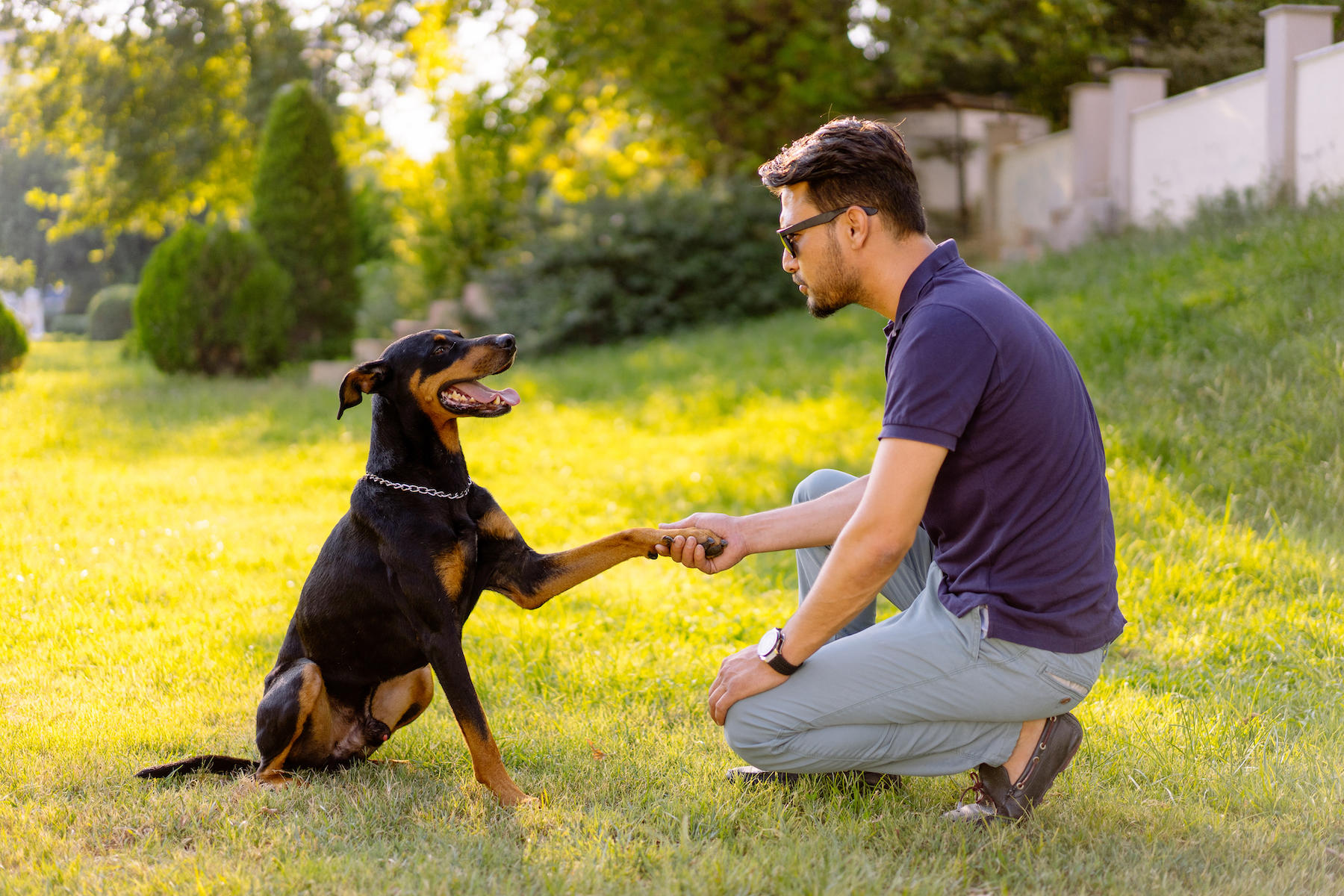 4 Ways Dog Training Benefits Owners