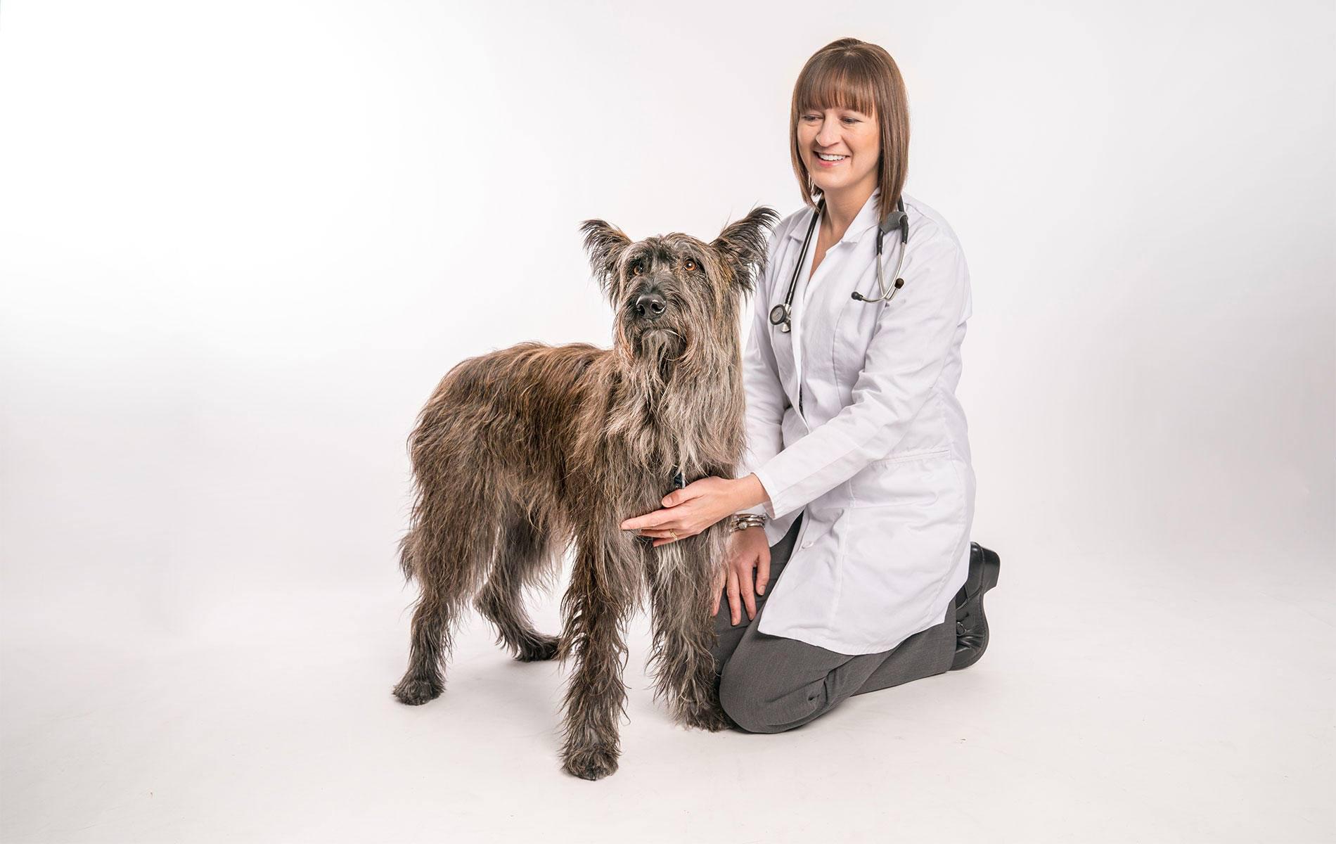 This is Dr. Amy Haarstad with her dog Levi. She also has a cat (Luna) and a gerbil (Elsa). Dr. Haarstad loves pets of all shapes and sizes, including horses!  This includes allergy testing and allergy shots for environmental allergens.  Symptoms of environmental allergies in horses include itching, recurrent skin infections, hives, and heaves.