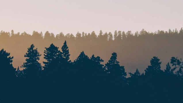 Barbara Weiß | Abschiedsbegleitung mit Herz, Forstenrieder Allee 24 in München