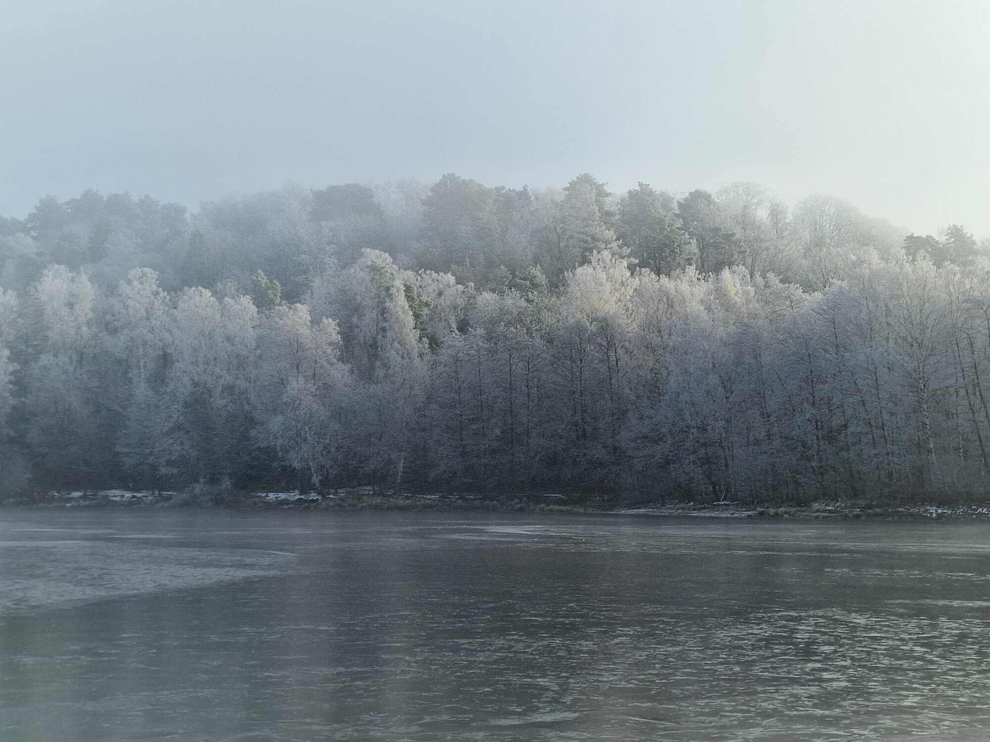 Ferienhaus Mainz am Silbersee, Silbersee 200a in Frielendorf