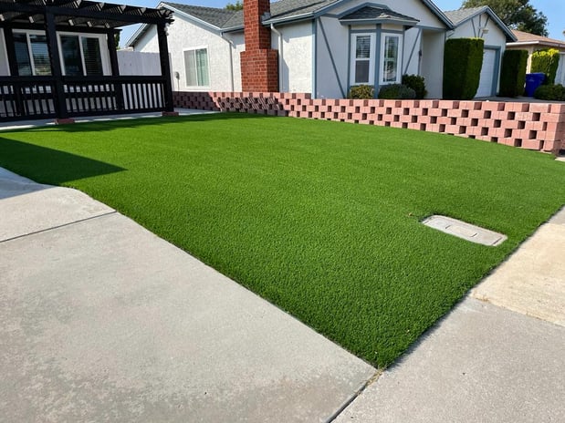 Images Best Green Grass
