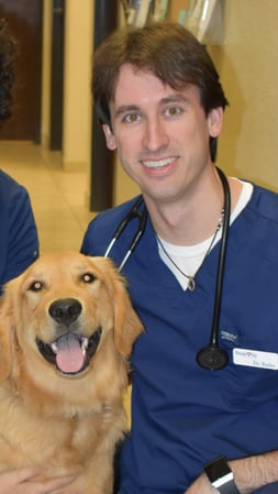 Images Bingle Veterinary Clinic