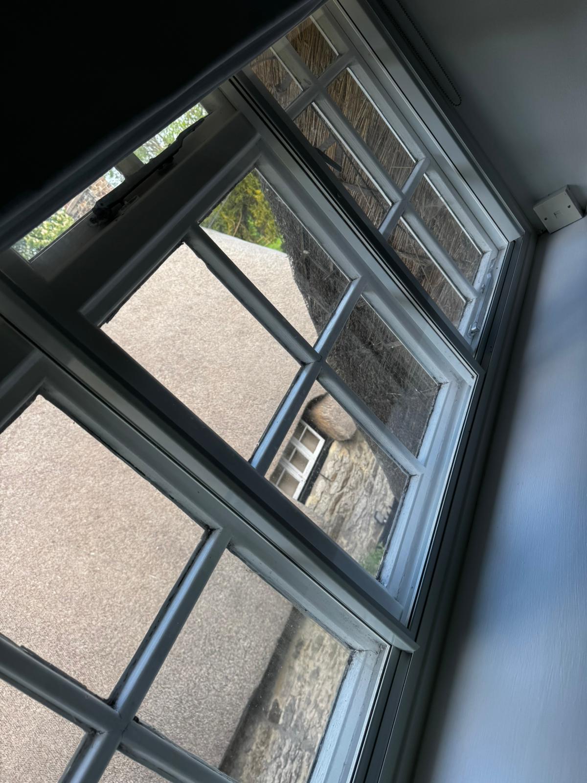 Images l and p cleaning services
