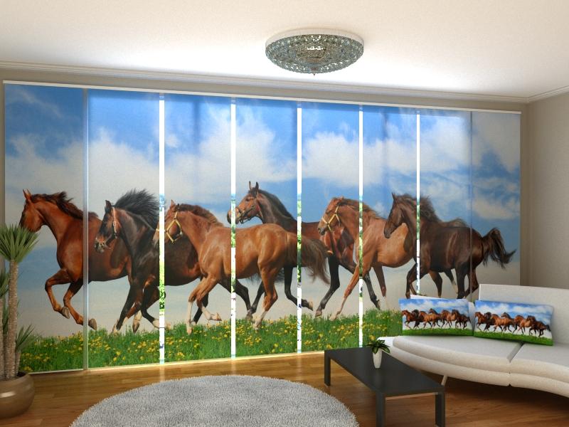 Bild 32 Schiebegardinen 60 cm breit in Homburg