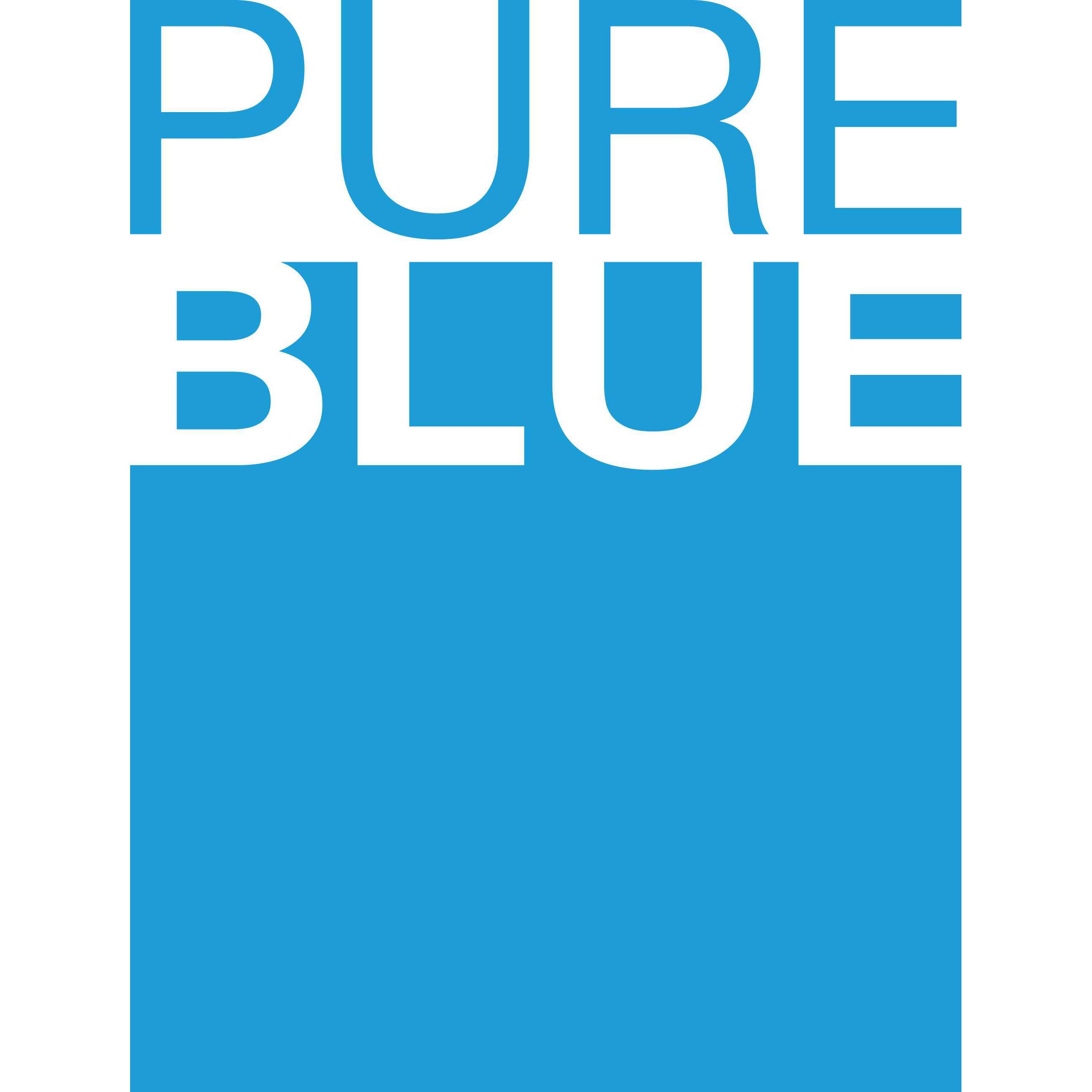 PureBlue Water BV Logo