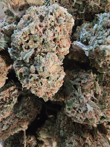 Mountain High Express Image