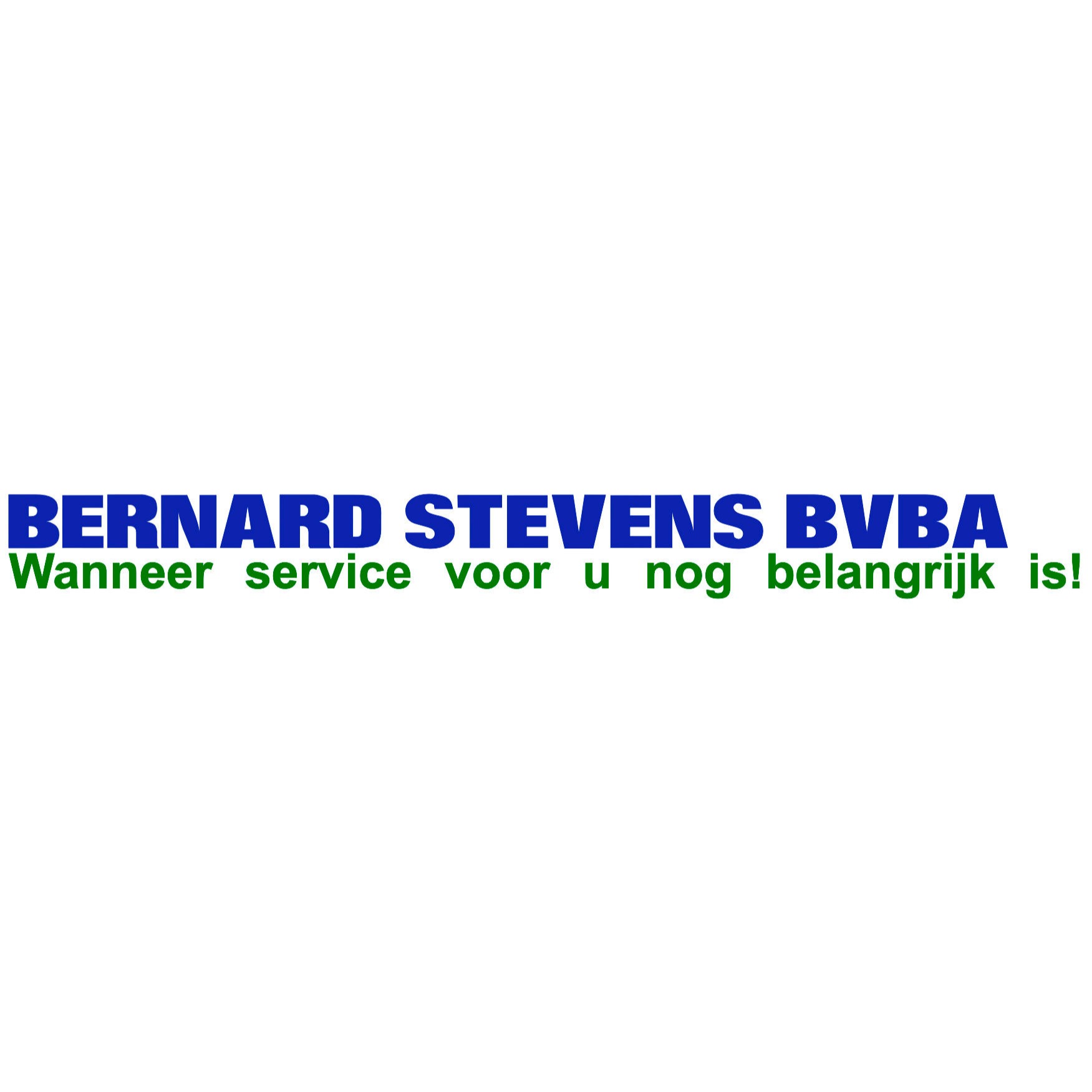 Bernard Stevens Bvba Logo