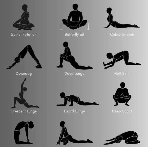 Bilder Personal Trainer Balmelli Douglas (SkilsPro)