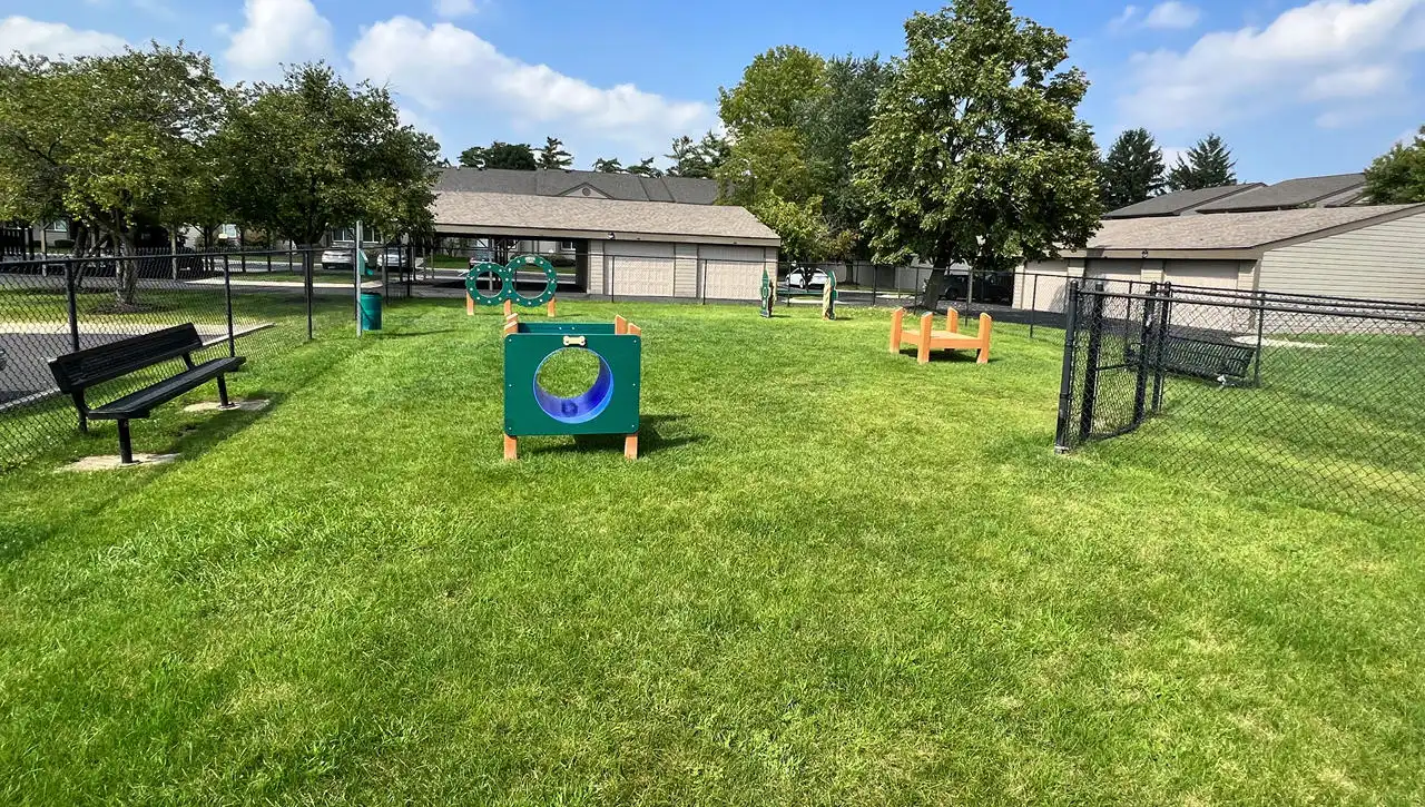 Pet Play Area