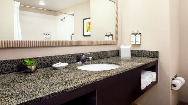 Images Holiday Inn Phoenix - Chandler by IHG