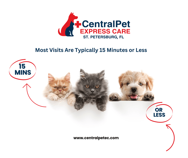 Images CentralPet Express Care