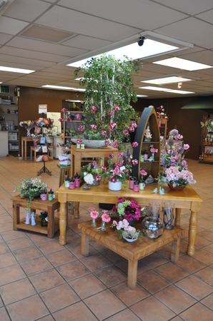 Images Peoples Flower Shops Far North Location
