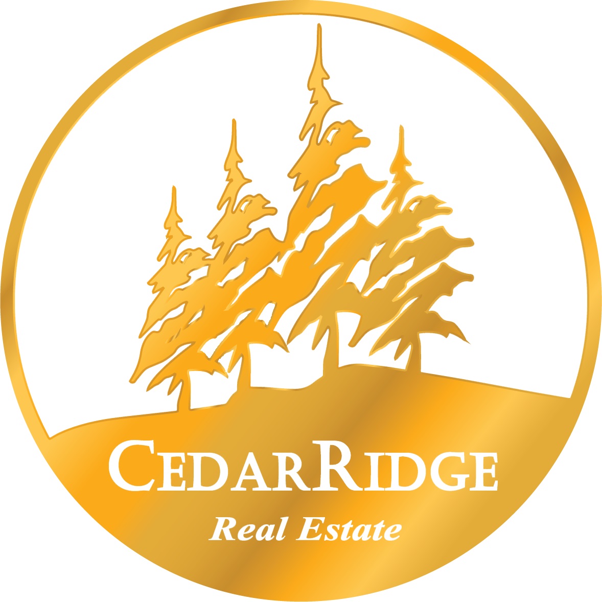 Show Low Real Estate - Marce Wildman