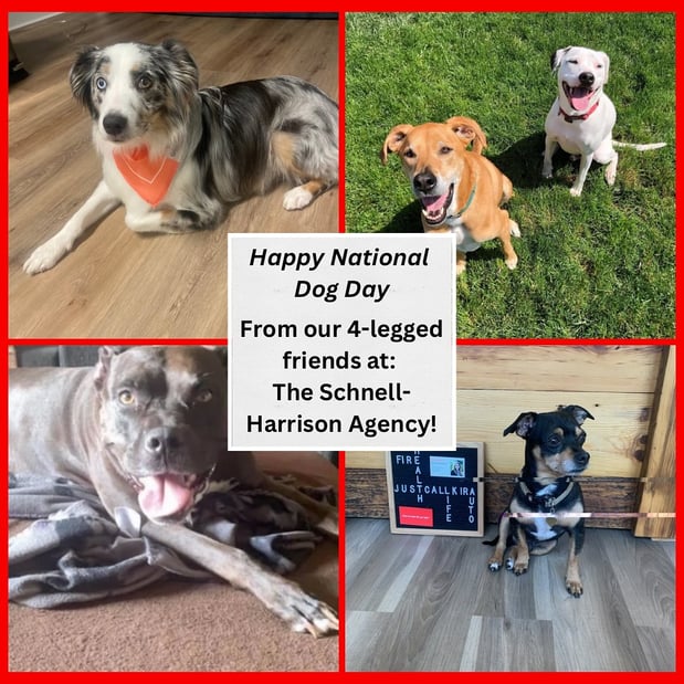 Images Kira Harrison - State Farm Insurance Agent