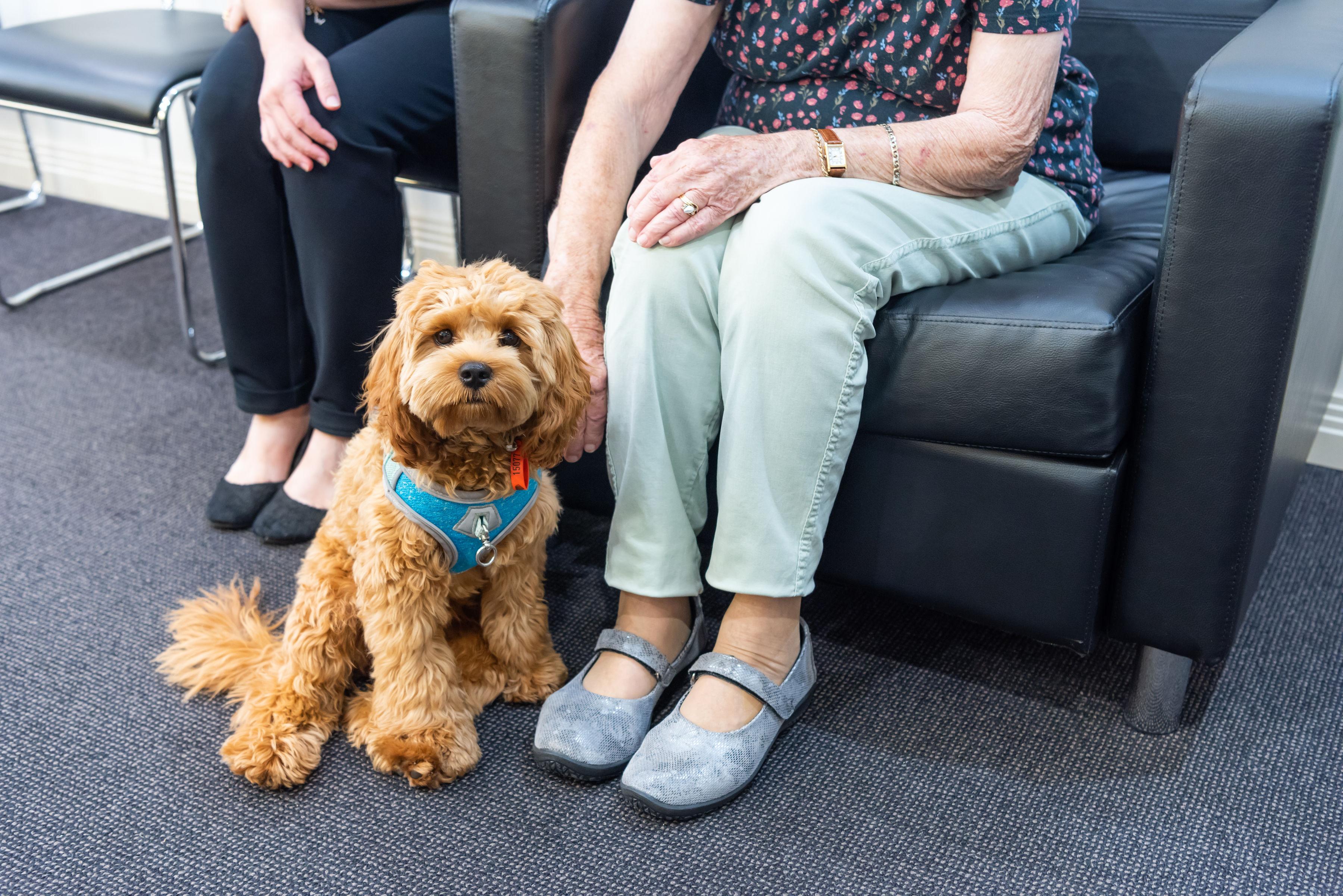 Images Western Smiles Dental Care